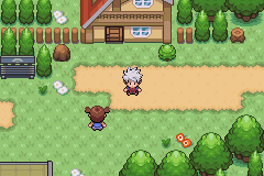 Pokemon Dark Worship em português Pokemon Dark Worship em português