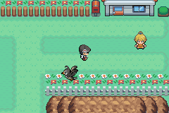 Pokemon Dark Worship em português Pokemon Dark Worship em português