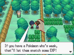 Pokemon Volt White Pokemon Volt White