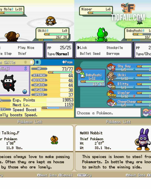 Pokémon Fury Red Pokémon Fury Red