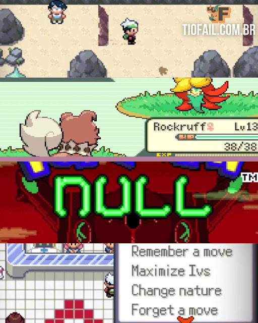 POKEMON NULL POKEMON NULL