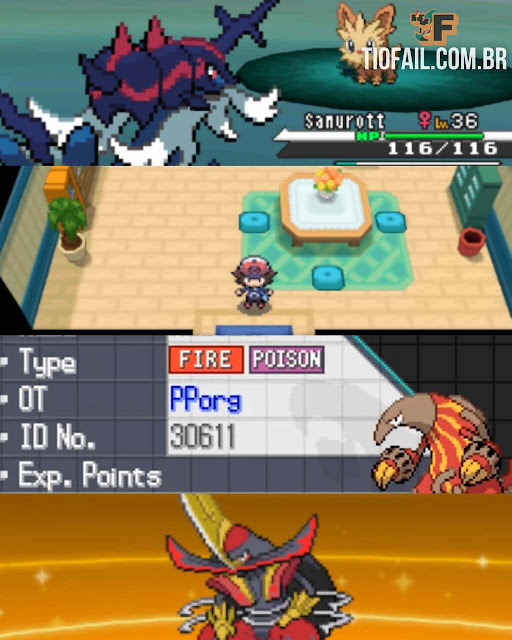 POKEMON VANTA BLACK POKEMON VANTA BLACK