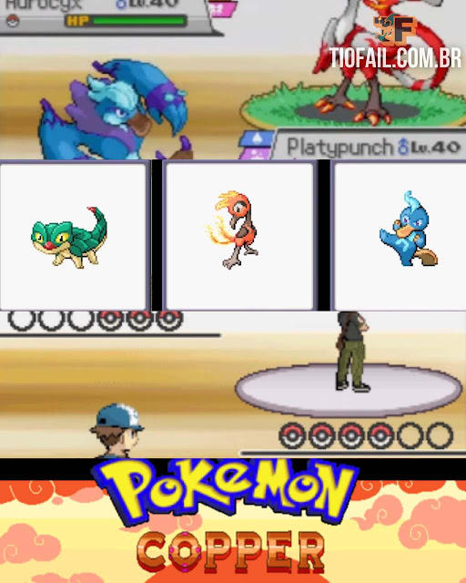 POKEMON COPPER POKEMON COPPER