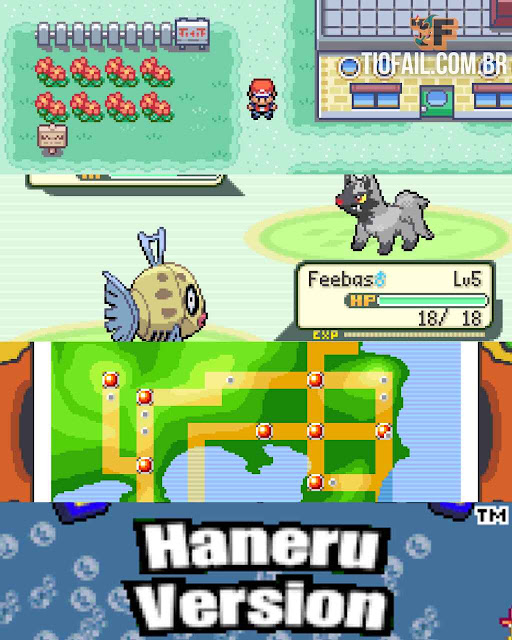 POKEMON HANERU