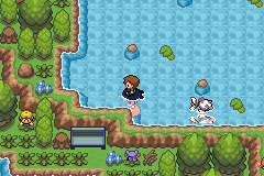 Pokemon Conquest: Ultimate Pokemon Conquest: Ultimate
