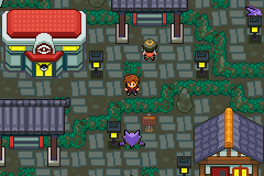 Pokemon Conquest: Ultimate Pokemon Conquest: Ultimate