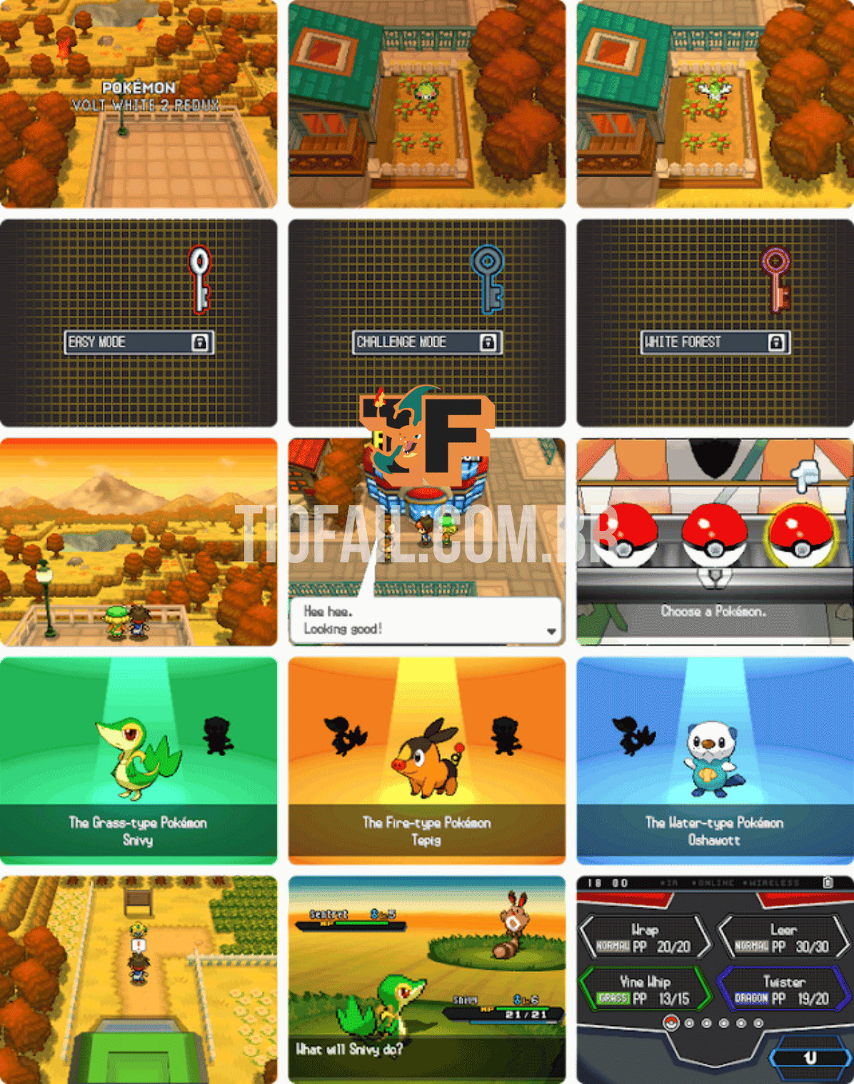 Pokemon Blaze Black Redux em Português