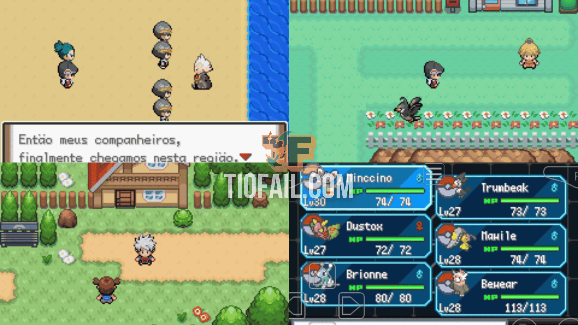 Pokemon dark workship 3